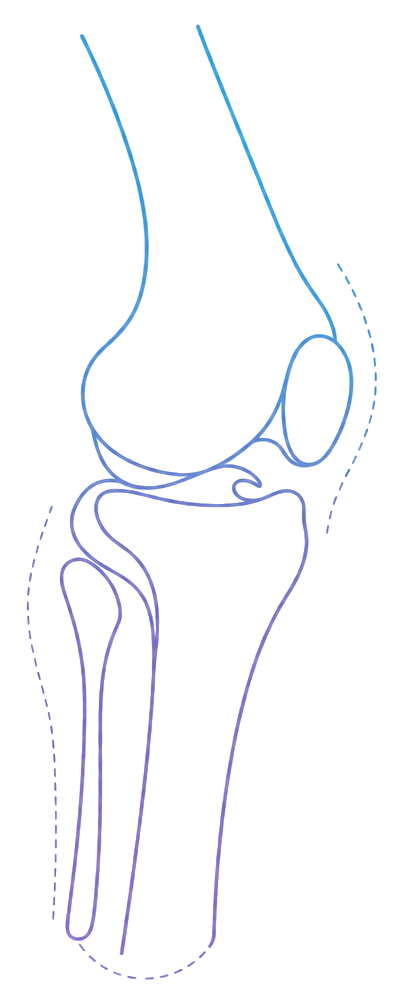 Orthopaedics